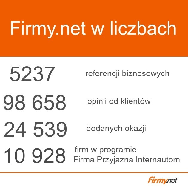 Firmynet-w-liczbach2015